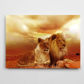 Dekolata Aslan 70x100 cm Kanvas Tablo