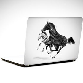 Dekolata Atlar 29x24 cm Laptop Sticker