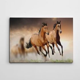 Dekolata Atlar 3 50x70 cm Kanvas Tablo