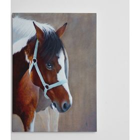 Dekolata Atlar 50x70 cm Kanvas Tablo