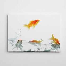 Dekolata Balıklar 2 40x60 cm Kanvas Tablo