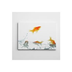 Dekolata Balıklar 2 50x70 cm Kanvas Tablo