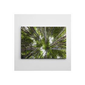 Dekolata Bambu 140x200 cm Kanvas Tablo