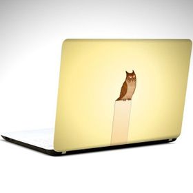 Dekolata Baykuş 34x24 cm Laptop Sticker