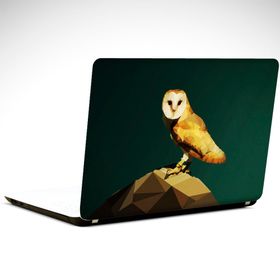 Dekolata Baykuş 34x24 cm Laptop Sticker