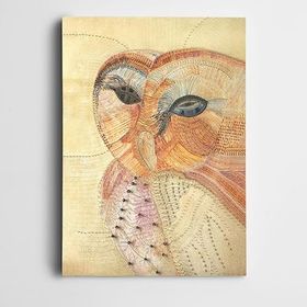 Dekolata Baykuş 50x70 cm Kanvas Tablo