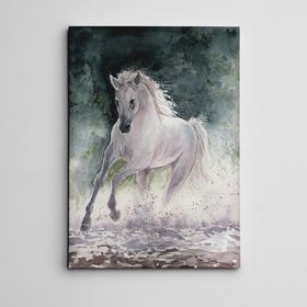 Dekolata Beyaz At 30x40 cm Kanvas Tablo