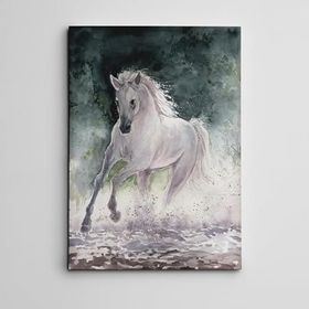 Dekolata Beyaz At 30x40 cm Kanvas Tablo