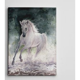 Dekolata Beyaz At 50x70 cm Kanvas Tablo