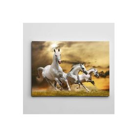 Dekolata Beyaz Atlar 40x60 cm Kanvas Tablo