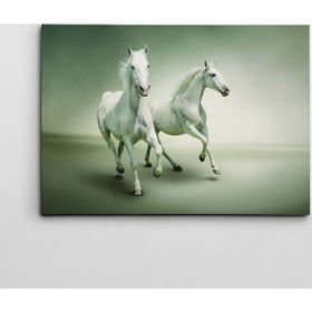 Dekolata Beyaz Atlar 40x60 cm Kanvas Tablo