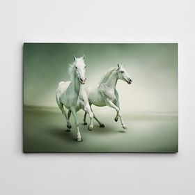 Dekolata Beyaz Atlar 40x60 cm Kanvas Tablo