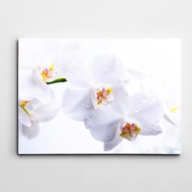 Dekolata Beyaz Çiçekler 140x200 cm Kanvas Tablo