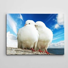 Dekolata Beyaz Güvercinler 85x120 cm Kanvas Tablo