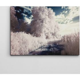 Dekolata Beyaz Rüya 40x60 cm Kanvas Tablo