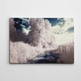 Dekolata Beyaz Rüya 40x60 cm Kanvas Tablo