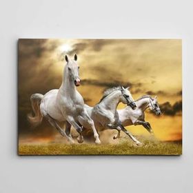 Dekolata DK001423 Beyaz Atlar 35x50 cm Kanvas Tablo