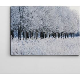 Dekolata Donmuş Topraklar 40x60 cm Kanvas Tablo