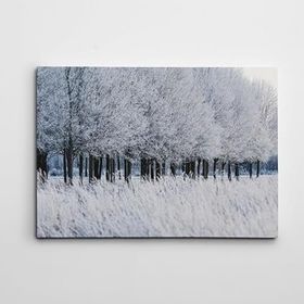 Dekolata Donmuş Topraklar 70x100 cm Kanvas Tablo