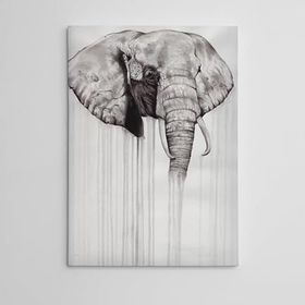 Dekolata Fil 140x200 cm Kanvas Tablo