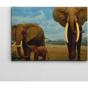 Dekolata Fil Ailesi 70x100 cm Kanvas Tablo
