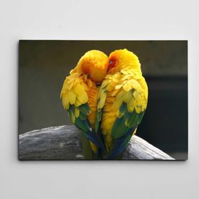 Dekolata Kalp Şeklinde Kuşlar 60x85 cm Kanvas Tablo