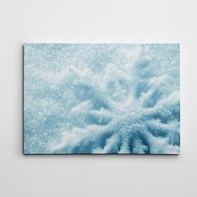 Dekolata Kar Taneciği 40x60 cm Kanvas Tablo