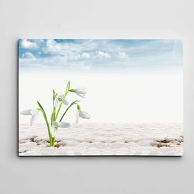 Dekolata Kardelenler 140x200 cm Kanvas Tablo