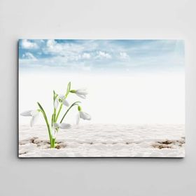 Dekolata Kardelenler 30x40 cm Kanvas Tablo