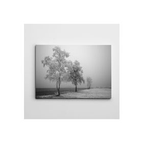 Dekolata Kış ve Yol Siyah Beyaz 60x85 cm Kanvas Tablo