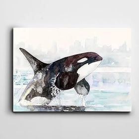 Dekolata Köpek Balığı 20x30 cm Kanvas Tablo