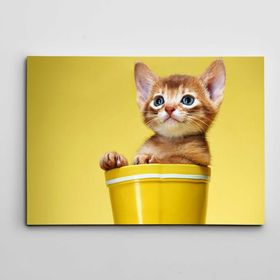 Dekolata Kovada Sevimli Yavru Kedi 60x85 cm Kanvas Tablo