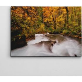 Dekolata Nehir 50x70 cm Kanvas Tablo