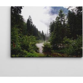 Dekolata Nehir ve Orman 50x70 cm Kanvas Tablo