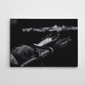 Dekolata Oklar Siyah Beyaz 35x50 cm Kanvas Tablo