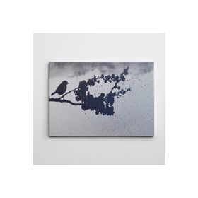Dekolata Özgür Kuş Siyah Beyaz 35x50 cm Kanvas Tablo