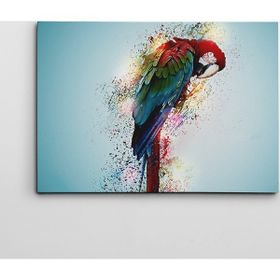 Dekolata Papagan 40x60 cm Kanvas Tablo