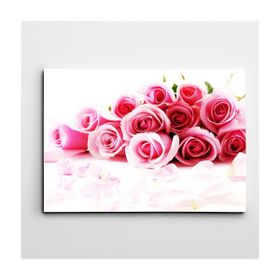 Dekolata Pembe Güller 20x30 cm Kanvas Tablo