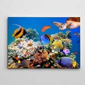 Dekolata Renkli Balıklar 60x85 cm Kanvas Tablo