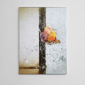 Dekolata Renkli Yapraklar 35x50 cm Kanvas Tablo