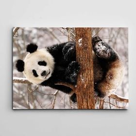 Dekolata Sevimli Panda 20x30 cm Kanvas Tablo