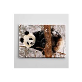 Dekolata Sevimli Panda 70x100 cm Kanvas Tablo