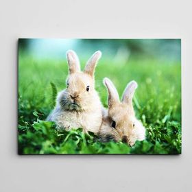 Dekolata Sevimli Tavşanlar 20x30 cm Kanvas Tablo