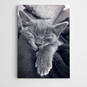 Dekolata Uyuyan Kedi 35x50 cm Kanvas Tablo
