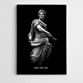 Dekolata Veni Vedi Vici 60x85 cm Kanvas Tablo