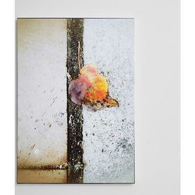 Dekolata Yaprak 70x100 cm Kanvas Tablo