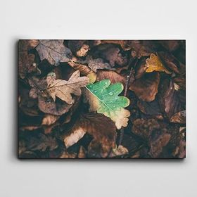 Dekolata Yapraklar 20x30 cm Kanvas Tablo