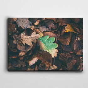 Dekolata Yapraklar 25x35 cm Kanvas Tablo