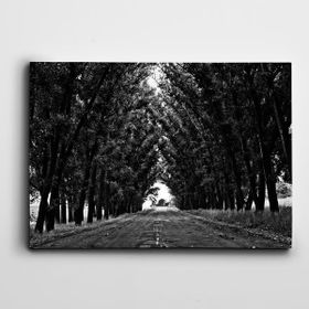 Dekolata Yol ve Ağaçlar 60x85 cm Kanvas Tablo