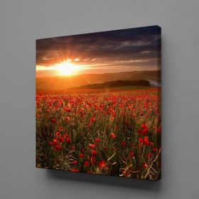 Dekor Sevgisi Çiçek Tarlası 75x50 cm Kanvas Tablo